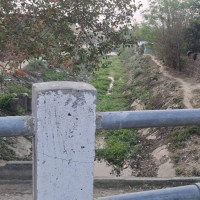 त्रिविको जग्गा खोजी