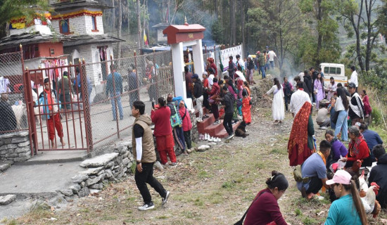 त्रिविको जग्गा खोजी