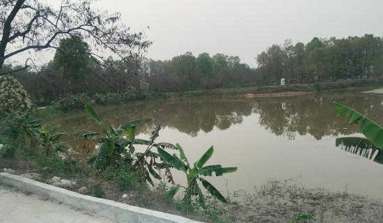 देवीदह पर्यटकीय स्थल विकासका लागि ‘विष्णु महायज्ञ’