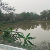 चार दिनमा ६४ लाख दान सङ्कलन