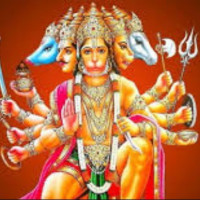 हसिना नयाँ दिल्ली नजिक अवतरण