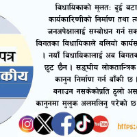 सिँजा सभ्यतादेखि स्याटेलाइट अस्पतालसम्म उम्मेदवारका एजेन्डा