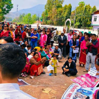 छामछुम गरेर भन्सार पास