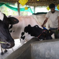 नेपालको प्रस्तावमा विश्वभर आरोग्य दिवस