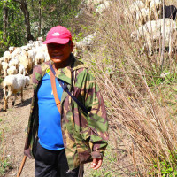 हुम्लाका सात परीक्षा केन्द्रमा एसइई परीक्षा शान्तिपूर्ण