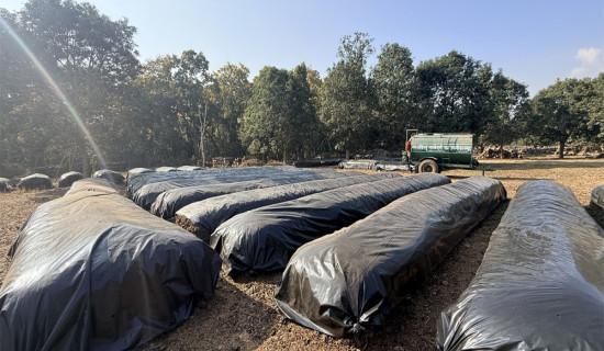 जैविक मल उत्पादन गर्दै नवलपुरको मध्यविन्दु साझेदारी वन