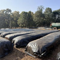 बहुआयामिक उपलब्धिपूर्ण भ्रमण