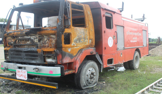 ज्ञान नहुँदा सर्पलाई शत्रु ठान्छन् मान्छे