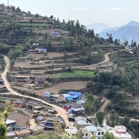 मालपोत र यातायात कार्यालय सुर्खेतबाट १६ बिचौलिया प्रक्राउ