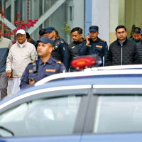 अरिङ्गालले टोकेर एक घाइते