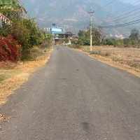 एएफपीपीडी महासभामा सांसद गौचन युवा समितिको अध्यक्षमा निर्वाचित