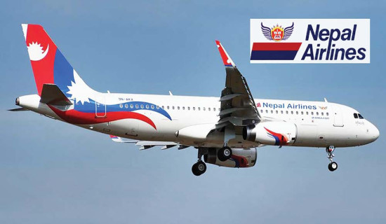 एएफपीपीडी महासभामा सांसद गौचन युवा समितिको अध्यक्षमा निर्वाचित