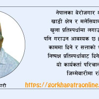 स्कार्पियो जिप दुर्घटनामा पाँच जना घाइते