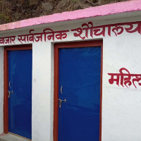 आठ हजार रुख काटियो