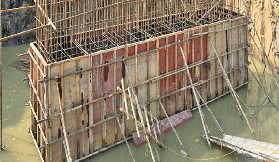 दोलखाको एवोमा लाखौँको आलुखेती नष्ट, किसान चिन्तित