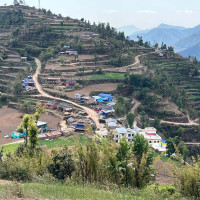 किशोरीलाई बेपत्ता बनाएको आरोपमा एक पक्राउ