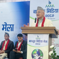 डा निकोलस भुसाल र हरिश विष्टसँग ६ बुँदे सम्झौता