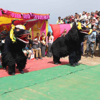 बागलुङमा बढ्दै क्षयरोगका बिरामी