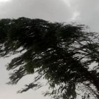 निर्वाचनलाई लक्षित गरी बजार अनुगमन