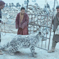 महाशिवरात्रि : पशुपतिमा ६ हजार सुरक्षाकर्मी परिचालन, गृहमन्त्रीद्वारा निरीक्षण