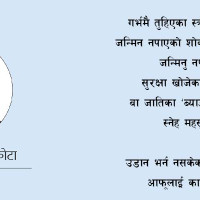 बढ्दै डेङ्गु सङ्क्रमण