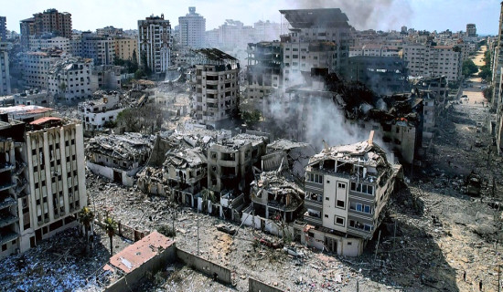 बाँदर नियन्त्रणदेखि मल कारखानासम्म