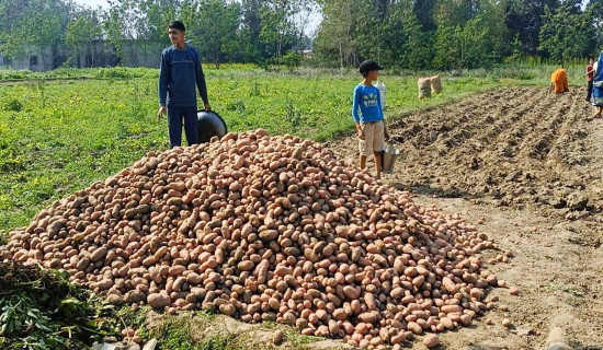 रामग्राम नगरपालिकामा विलासी सवारी विवाद