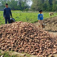 प्रेस इन्स्टिच्युटमा काफ्ले