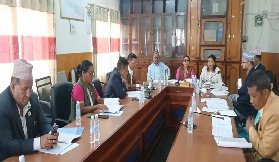 विद्यावारिधिका चार उम्मेदवार चुनावी मैदानमा