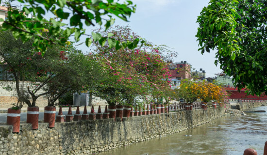 ढकमक्क फूलले फेरिँदै  कोरिडोर (फोटो फिचर)