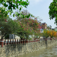 गुराँसबारे जानौँ