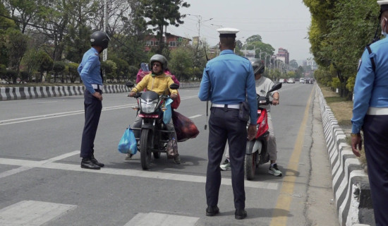 ट्राफिक लाइट उल्लंघन गर्ने सवारीसाधन कारबाहीमा