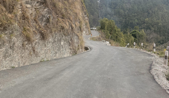 अटो र गाडी ठोक्किदा आठ जना घाइते