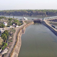 व्यवसायीको रोजाइमा नेपाली प्लाइउड