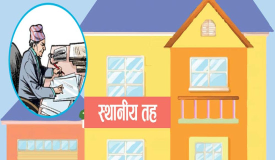 व्यवसायीको रोजाइमा नेपाली प्लाइउड