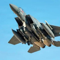 व्यवसायीको रोजाइमा नेपाली प्लाइउड