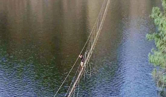 डिजेल महँगिएपछि चिया उद्योग बन्द