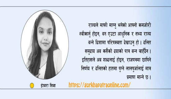 समानताको मार्गचित्र