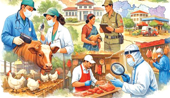 मल अभावले झापाको केराखेती सङ्कटमा