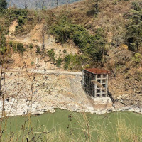 खेल मिलेमतोको आरोपमा क्रिकेटर आलम र अन्सारी पक्राउ