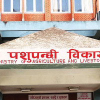 तनहुँ–२ मा रास्वपाबाट इन्जिनियर श्रीराम न्यौपाने उम्मेदवार