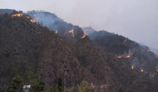 सामुदायिक वनमा आगलागी