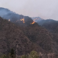निकुञ्ज क्षेत्रबाट विद्यालय जाने बाटो : जोखिममा विद्यार्थी