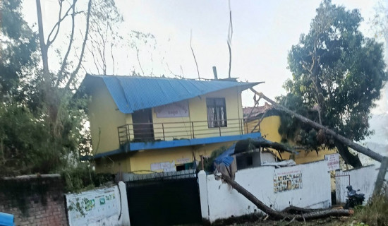 टाउको दुखाइ बन्दै धनकुटाको सल्लेरी वन