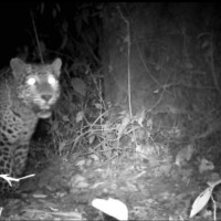 रुकुमपश्चिममा रोचक प्रतिस्पर्धा