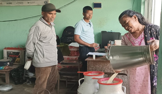 प्रदेश सरकारलाई पूर्णता दिन आग्रह