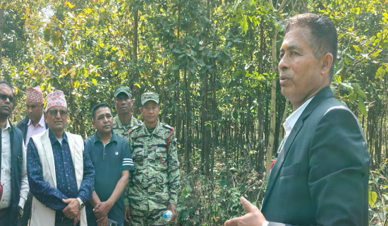 नवलपरासीमा वनमा लागु भएको वन संवर्ध्दन  प्रणालीले उपभोक्ता समूह सक्रिय र उत्साहित