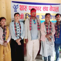 घरेलु हिंसापीडित महिलाका मुद्दा प्रहरीमै सीमित