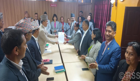 घरेलु हिंसापीडित महिलाका मुद्दा प्रहरीमै सीमित