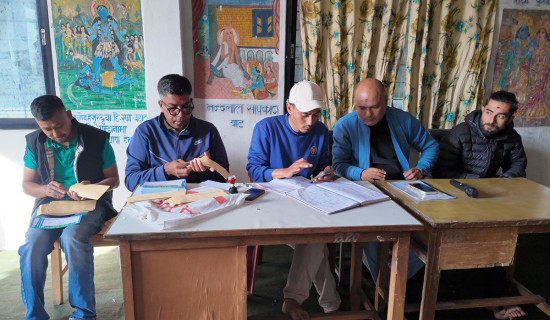 आलु महोत्सवको तयारी तीव्र